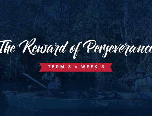 The Reward of Perseverance