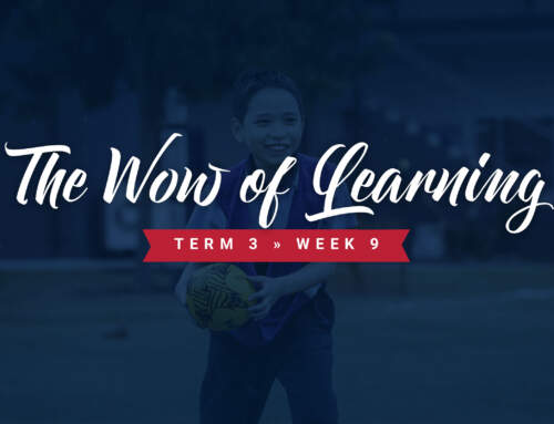 The Wow of Learning